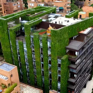 Mantenimiento de muros verdes