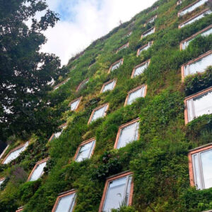 Jardín vertical del Hotel B3 con más de 25,000 plantas nativas en la fachada